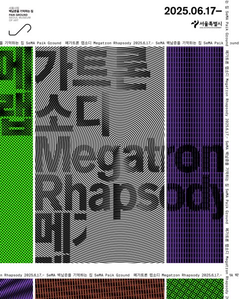 《메가트론 랩소디》 대표 이미지