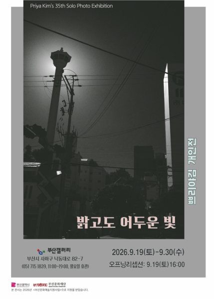 밝고도 어두운 빛 대표 이미지