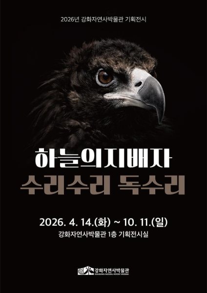 《하늘의 지배자: 수리수리 독수리》 대표 이미지