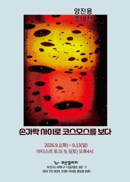 ⟪ 손가락 사이로 코스모스를 보다 ⟫ 대표 이미지